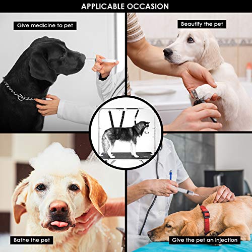 Yuehuam Correa de Aseo para Perros Vientre de Nylon Ajustable para Baño de Mascotas con Anillos en D Arnés de Soporte Banda de Sujeción para El Lavado de Entrenamiento de Corte de Pelo de