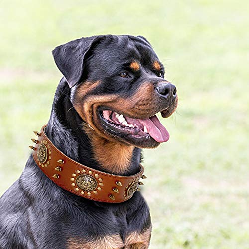 YXDZ Collar De Perro De Cuero Duradero Collares para Perros con Tachuelas con Tachuelas Y Collares Ajustables para Perros Medianos Grandes Pitbull K9 L XL