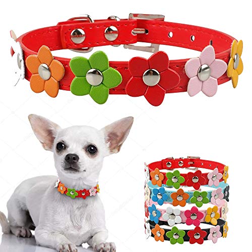 YXDZ Collar De Perro Pequeño De Flor Linda Flor De Sol Tachonado Cuero Perro Collares Accesorios De Mascota Perro para Cachorro Pequeño Rosa Rojo Negro Borroso