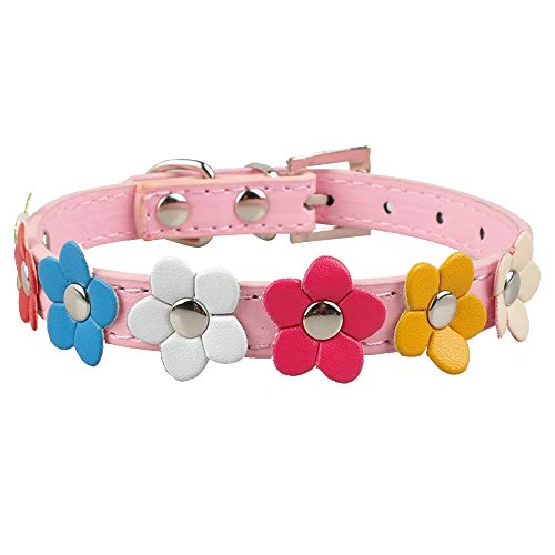 YXDZ Collar De Perro Pequeño De Flor Linda Flor De Sol Tachonado Cuero Perro Collares Accesorios De Mascota Perro para Cachorro Pequeño Rosa Rojo Negro Borroso