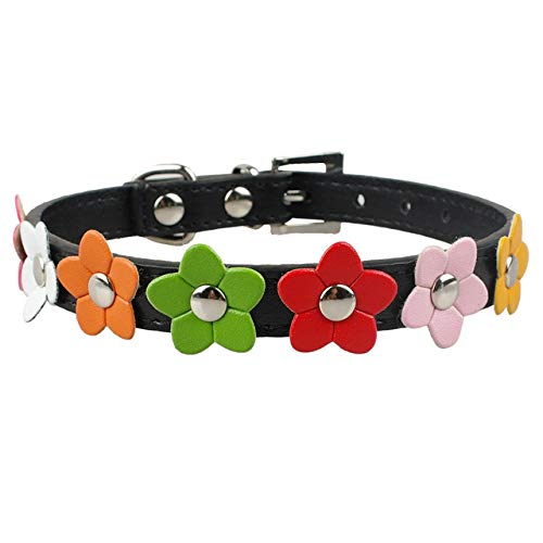 YXDZ Collar De Perro Pequeño De Flor Linda Flor De Sol Tachonado Cuero Perro Collares Accesorios De Mascota Perro para Cachorro Pequeño Rosa Rojo Negro Borroso