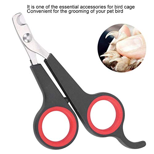 Zerodis Bird Nail Clipper Grooming Tool Tijeras de uñas Clipper Pet Bird Parrot Small Animals Accesorio para Small Parrot Birds