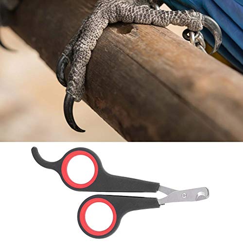 Zerodis Bird Nail Clipper Grooming Tool Tijeras de uñas Clipper Pet Bird Parrot Small Animals Accesorio para Small Parrot Birds