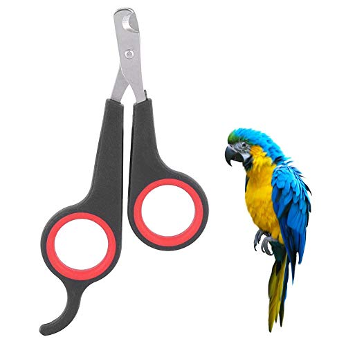 Zerodis Bird Nail Clipper Grooming Tool Tijeras de uñas Clipper Pet Bird Parrot Small Animals Accesorio para Small Parrot Birds