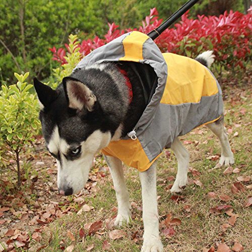 zhbotaolang Capucha Respirable Impermeable de Dos Colores para el Perro Grande Medio NO.6-12(Amarillo)