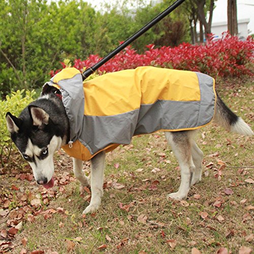 zhbotaolang Capucha Respirable Impermeable de Dos Colores para el Perro Grande Medio NO.6-12(Amarillo)