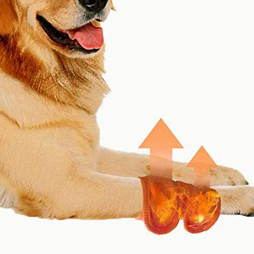 Zidao 1 Perro Par Rodilla Brace codera Conjunta Leg Protector Vendaje para Mascotas Pata Delantera Hind Pierna,Naranja