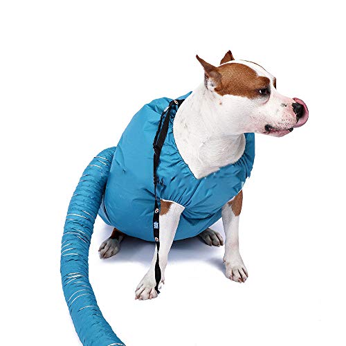 ZNN Ropa de Secado para Mascotas: Perro Plegable portátil para bañarse, Bata de Secado, Secado rápido, Correa Ajustable, Tela Impermeable de Oxford, Adecuada para Perros, 64 * 48 cm