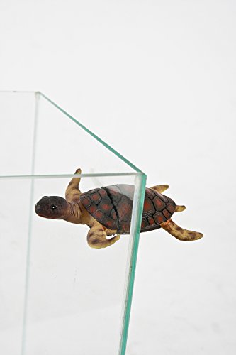 Zolux Décor para Acuario magnética Dos Partes Tortuga L 7,5 x p 9 x H 2,5 cm