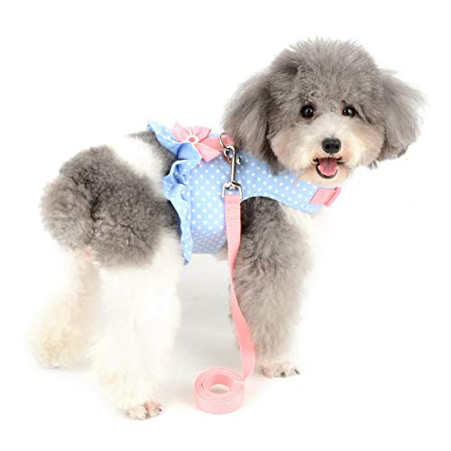 Zunea Arnés y Correa para Perro Pequeño Niña Antitirones Cachorro Chihuahua Vestido Antifugas Arnes Pecho Suave Cómodo Chaleco Floral Acolchado con Bowknot para Hembra Gato Caminar Azul M