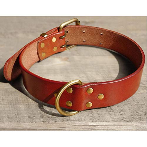 ZXFMT Los Mejores Collares Perro Casero del Cuero Genuino para El Pastor del Pitbull Labrador con Durable