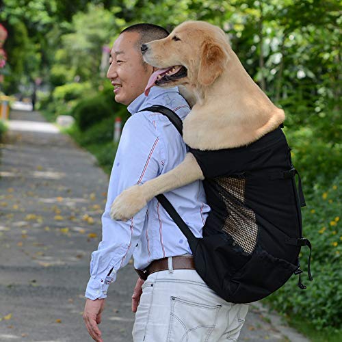 ZYY-Home curtain Bolsas De Nuevo A Los Animales De La Compañía del Recorrido del Morral De Perro Al Aire Libre Ajustable para Trekking Bolsa De Transporte Reflectante, para Los Perros,Rojo,S