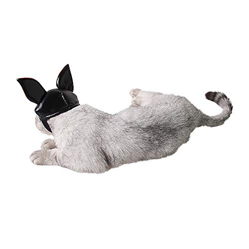 ZZM Sombrero de Gato de murciélago de Halloween, Tocado de Perro, Tocado, Disfraz, Gorra de Fiesta, Disfraz de Cosplay, Sombrero con Oreja Naranja, Accesorio de Ropa para Cachorro Gatito