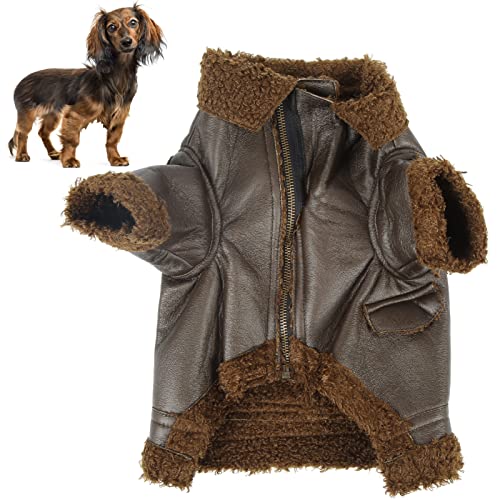 01 02 015 Abrigo de Chaqueta para Perros, Chaqueta de Cuero para Perros a la Moda para Invierno para Perros Pequeños, Medianos Y Grandes para Exteriores para Gatos(S)