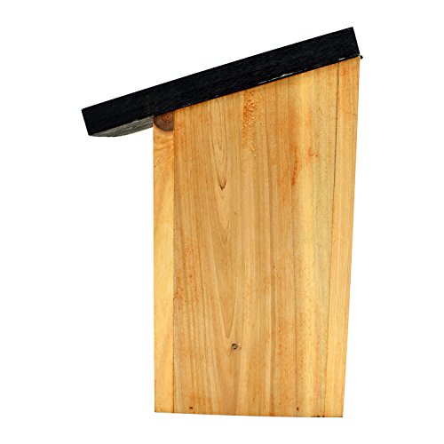 1 x Handy Home and Garden Caja Nido de Madera con Madera Tratada a Presión para Aves Silvestres y de Jardín - Hecho con 100% de Madera FSC, Bosques Sostenibles Amigables con el Medio Ambiente