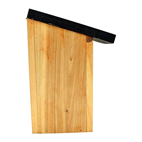 1 x Handy Home and Garden Caja Nido de Madera con Madera Tratada a Presión para Aves Silvestres y de Jardín - Hecho con 100% de Madera FSC, Bosques Sostenibles Amigables con el Medio Ambiente