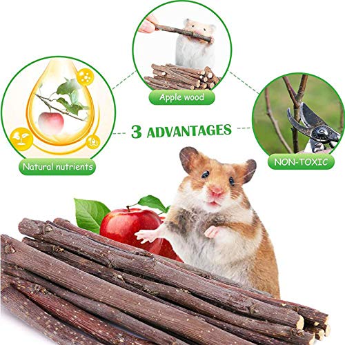 10pcs Pequeñas Mascotas Juguetes Para Masticar Pino Natural Unicycle de Madera Rodillo Ejercicio Mancuerna Cuidado de Los Dientes Juguete Molar para Hamster Conejillo de Indias Chinchilla Conejos