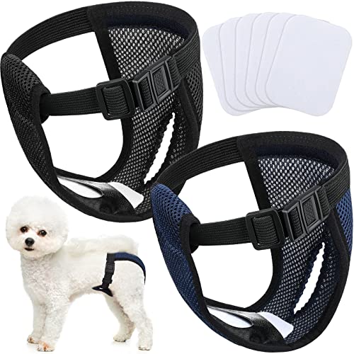 2 Paquetes Pantalones Pañales para Perros con 6 Toallas Sanitarias Bragas Protectoras Lavables Braguitas Higiénicas para Perros Hembras en Celo Sangrado Mensual, Negro y Azul (M)