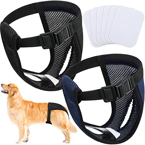 2 Paquetes Pantalones Pañales para Perros con 6 Toallas Sanitarias Bragas Protectoras Lavables Braguitas Higiénicas para Perros Hembras en Celo Sangrado Mensual, Negro y Azul (XL)