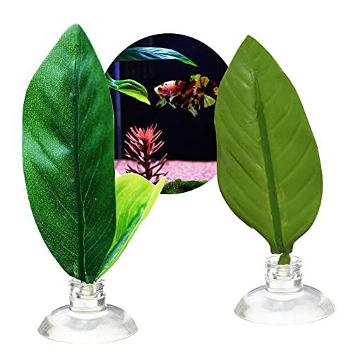 2 Piezas Camas de Betta Pequeñas Plantas Plástico Acuario Planta Acuario Pequeñas Plantas Plástico Plantas Artificiales Pecera Acuario Plantas Acuáticas Accesorios Acuario Plantas Artificiales Verde