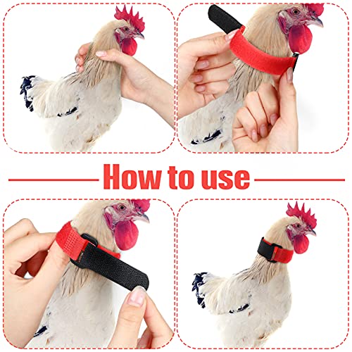 4 Collares de Gallo Ajustable Anti Gancho Collar de Pollo sin Cuervo Correa de Nylon de Cuello Evitar que Pollos Griten Molestando a Vecinos para Pollos Mascota Negro, Rojo