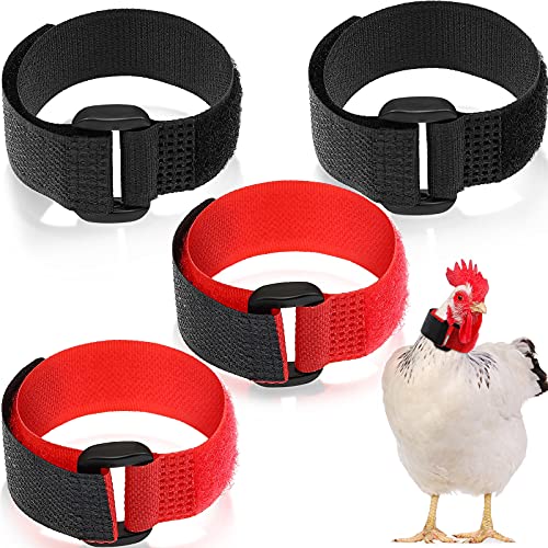 4 Collares de Gallo Ajustable Anti Gancho Collar de Pollo sin Cuervo Correa de Nylon de Cuello Evitar que Pollos Griten Molestando a Vecinos para Pollos Mascota Negro, Rojo