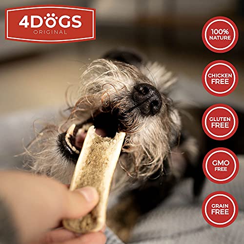 4 Dogs Original Mordedor de Perro Hecho de Cuerno de Ciervo – L – 15 cm de Largo – Juguetes para Perros 100 % Naturales – Auténtica Asta de Ciervo para Perro