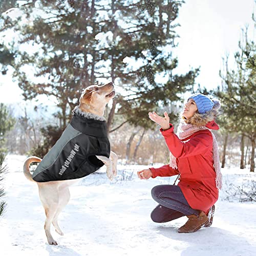 Abrigo CáLido Para Perros Grandes, Abrigo Para Perros Resistente Al Viento Y Al Agua Con Forro Polar Suave, Adecuado Para Perros Medianos Y Grandes En El Exterior