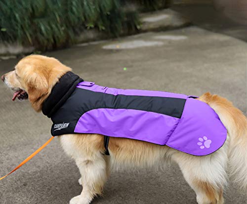 Abrigo Chaqueta para Perro, Caliente para Mascotas, Chaqueta Chubasquero Impermeable de Invierno, Cazadora Perro con Forro Polar, Ropa para Perro. (7L, 1206 Morado)