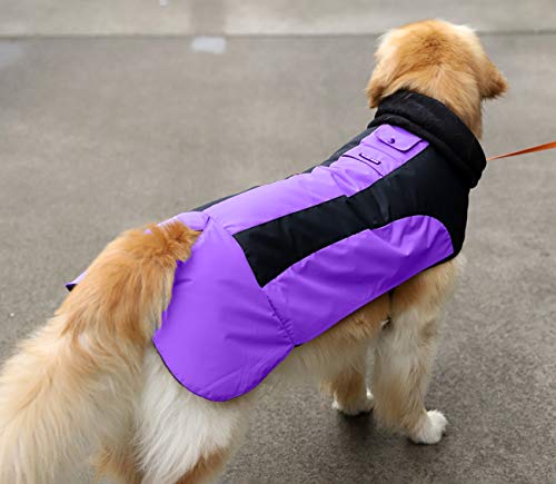 Abrigo Chaqueta para Perro, Caliente para Mascotas, Chaqueta Chubasquero Impermeable de Invierno, Cazadora Perro con Forro Polar, Ropa para Perro. (7L, 1206 Morado)