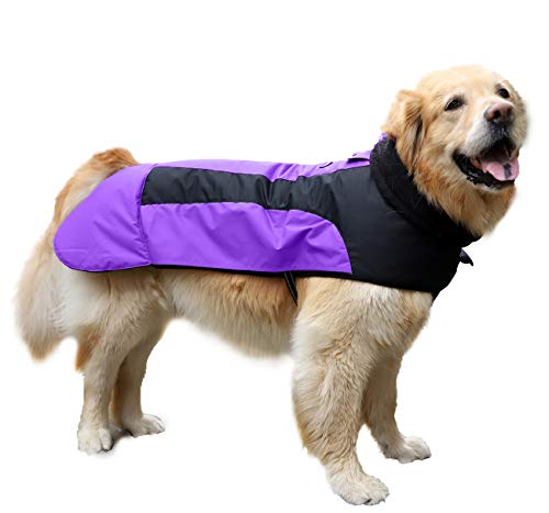 Abrigo Chaqueta para Perro, Caliente para Mascotas, Chaqueta Chubasquero Impermeable de Invierno, Cazadora Perro con Forro Polar, Ropa para Perro. (7L, 1206 Morado)