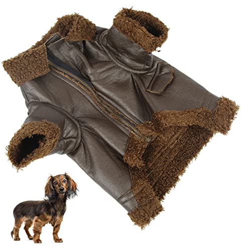 Abrigo De Cuero De Invierno Para Perros, Impermeable Chaqueta De Cuero Para Perros Confort Resistente Al Viento Moda Para Invierno Para Exteriores Para Perros Pequeños Medianos Grandes Para(SG)