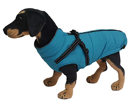 Abrigos y Chaquetas cálidos para Perros con arnés,Chaleco Reflectante Impermeable para Perros Mascotas, Ropa de Invierno para Perros con Correa en el Pecho,para Perros pequeños y medianos-Azul-L