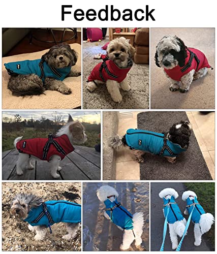 Abrigos y Chaquetas cálidos para Perros con arnés,Chaleco Reflectante Impermeable para Perros Mascotas, Ropa de Invierno para Perros con Correa en el Pecho,para Perros pequeños y medianos-Azul-L