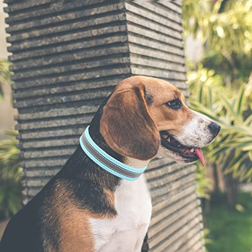 ABRRLO Collares de cuero para perros pequeños, medianos y grandes, niños y niñas, reflectantes, ajustables, para mascotas (azul, XL)