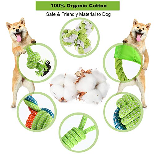 ACE2ACE Juego de Juguetes para Perros, Juguetes Cuerda para Perros Pequeños/Cachorros, Seguro Sano Juguete cachorro Interactuar 6pcs, Juguete para Morder para Perro de algodón para Mantener Perro Sano