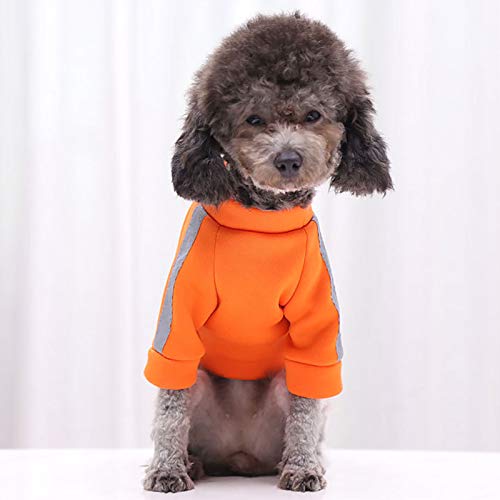 AchidistviQ Chaleco de perro de moda chaqueta de perro abrigo cierre de cremallera y correa anillo clima frío para perro pequeño interior suéter chaleco - Lago azul XS