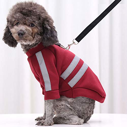 AchidistviQ Chaleco de perro de moda chaqueta de perro abrigo cierre de cremallera y correa anillo clima frío para perro pequeño interior suéter chaleco - Lago azul XS