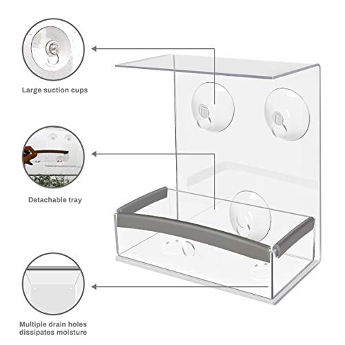 Achort Alimentador de Pájaros con Orificios de Drenaje, Comedero Pájaros para Ventana con 3 Ventosas, Bandeja extraíble, Cristal Acrílico y PVC, Alta Capacidad de Semillas 16.5 * 15 * 6.5cm