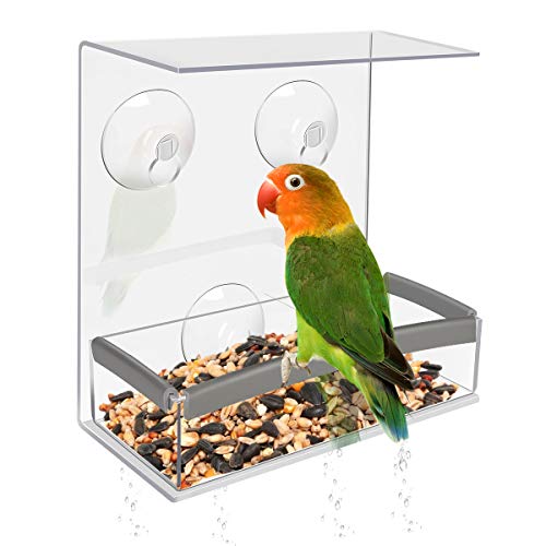 Achort Alimentador de Pájaros con Orificios de Drenaje, Comedero Pájaros para Ventana con 3 Ventosas, Bandeja extraíble, Cristal Acrílico y PVC, Alta Capacidad de Semillas 16.5 * 15 * 6.5cm