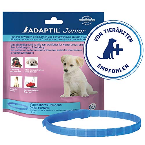 Adaptil Junior Halsband Collar, Azul, 1 Stück (1er Pack)