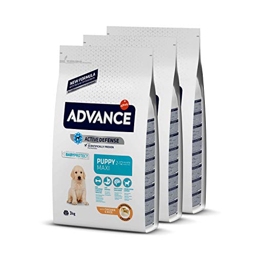 ADVANCE Puppy Maxi - Pienso Para Cachorros De Razas Grandes Con Pollo - Pack De 3 x 3 kg - Total 9 kg