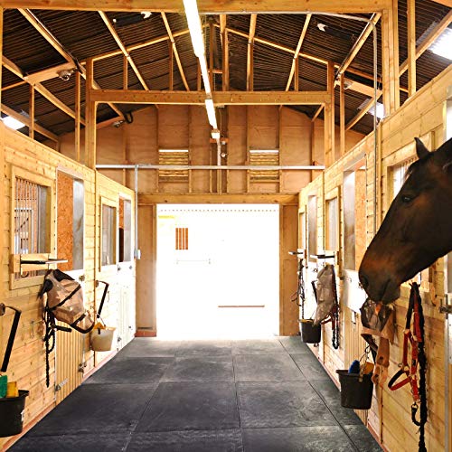 Agrarzone alfombra para establo y box 115 x 81 x 2,4 cm | Alfombra para caballo paddock | Alfombra de goma antideslizante | Alfombra de protección para box de caballo establo de equitación