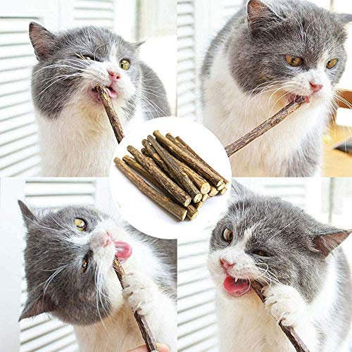 Aidiyapet Palitos de Catnip para Gatos,Juguete para morder para Gatos Natural Matatabi Dental, Paquete de 30 Unidades