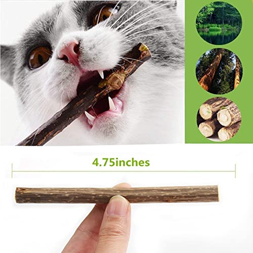 Aidiyapet Palitos de Catnip para Gatos,Juguete para morder para Gatos Natural Matatabi Dental, Paquete de 30 Unidades