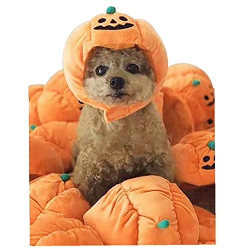 Aiyrchin Halloween Pet Bups Comportante Hat Hat Cat Dog Dog Dog Doy Up rol Payo Presiones De Presiones De Presos Accesorios Accesorios por Fotos Props Lineo 17 * 12 * 5 Cm