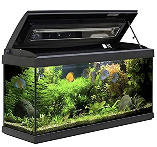 Akkua Acuario Completo 100 litros, Kit Pro 80,peceras Completas