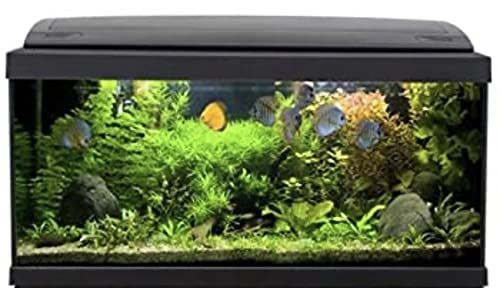 Akkua Acuario Completo 100 litros, Kit Pro 80,peceras Completas