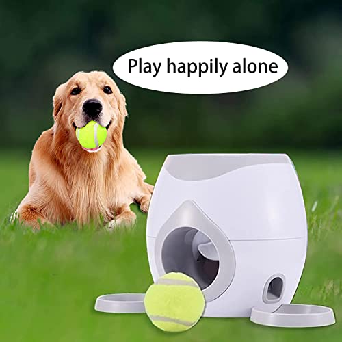 Alimentador automático de mascotas para buscar pelota de tenis, lanzador automático de pelotas, juguetes de entrenamiento para perros, máquina interactiva para lanzar pelotas