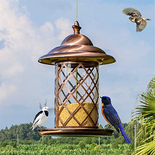 Alimentador de pájaros al aire libre Aves loro Carrier palomas Alimentos Trough suministros al aire libre Guía de las aves de metal automática Bird Alimentadores Alimentación Aire libre decoración col